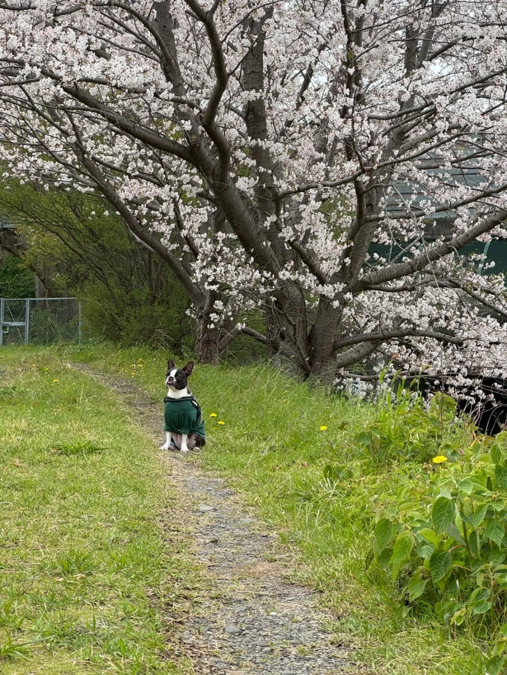 Ragnusのブログ写真_7枚目