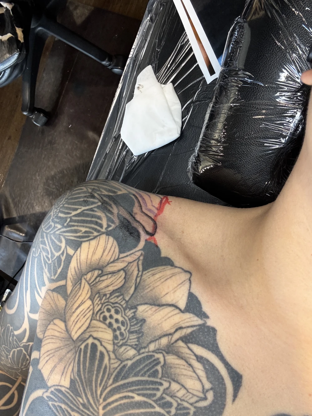 どうも南せーやです。