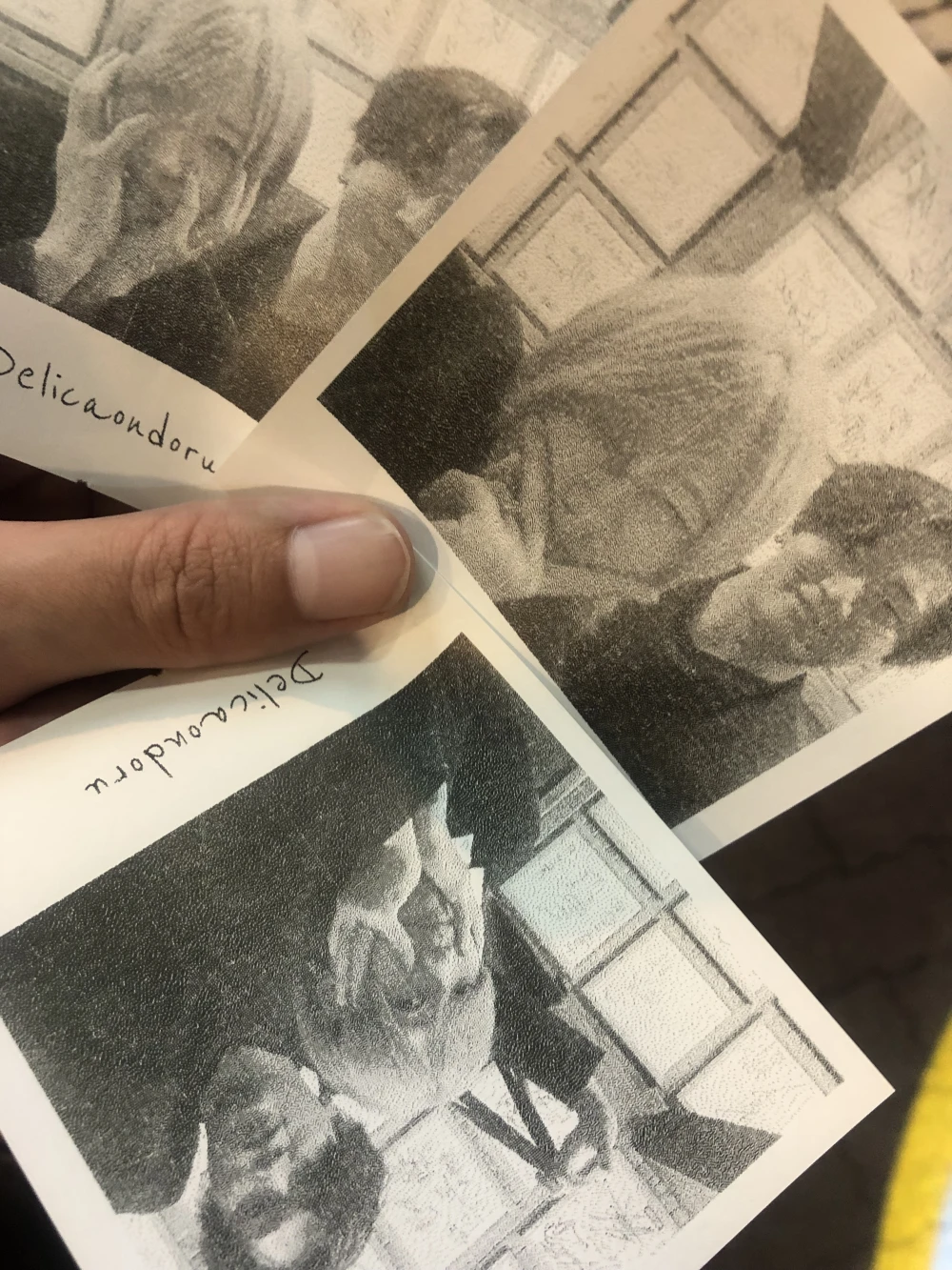 SINCE YOU... -ZOO-のブログ写真_8枚目