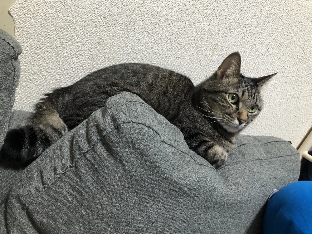 STAR PLANETS CLUBのブログ写真_3枚目