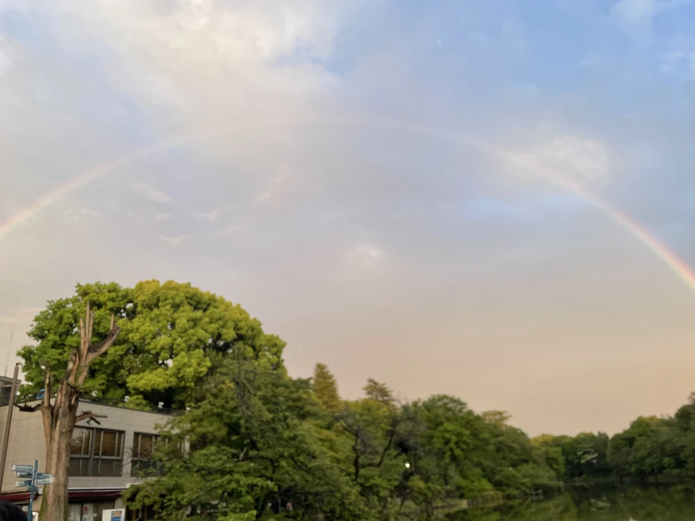 てなわけで