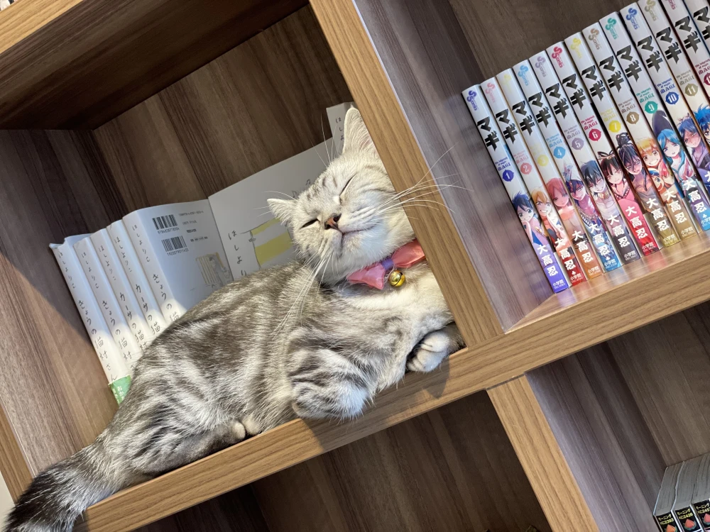 てなわけで