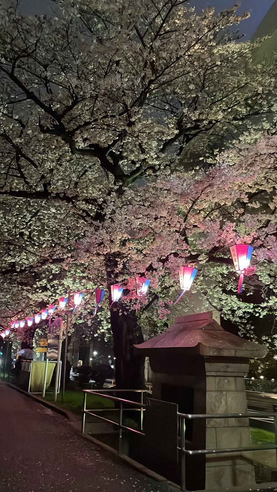 4月初の投稿