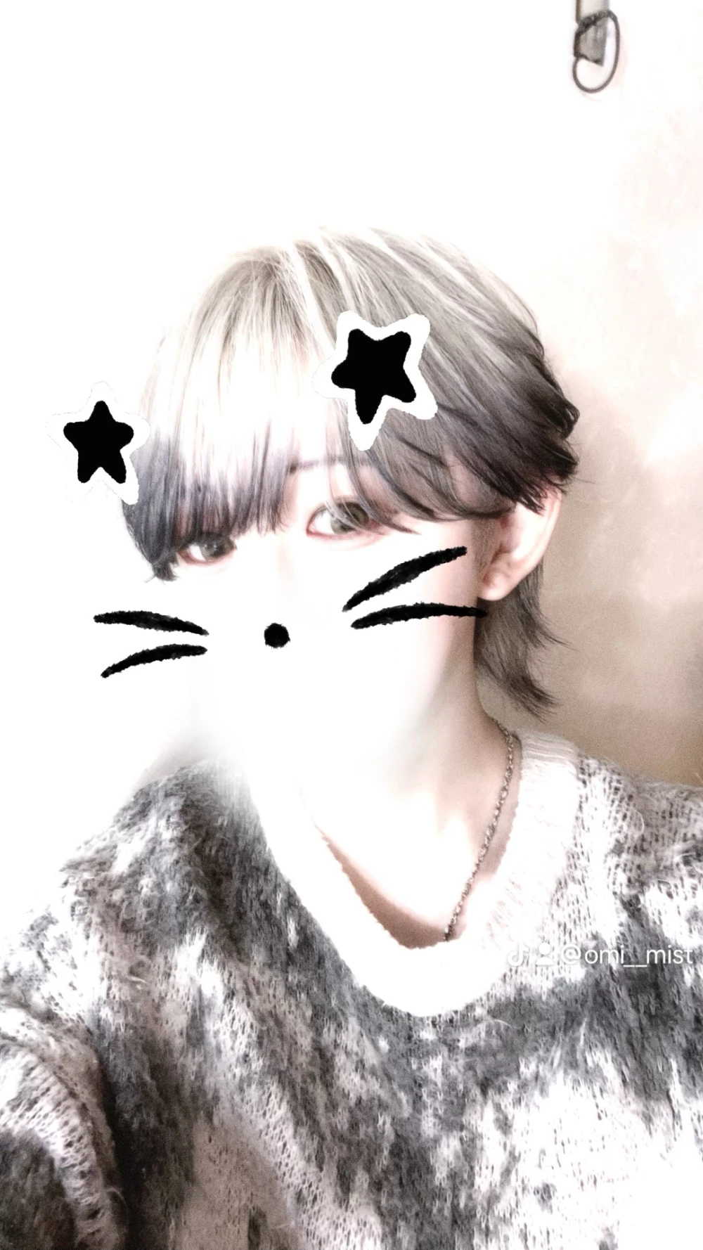 Mistのブログ写真_6枚目