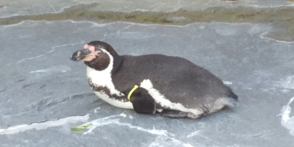 #11 動物と触れ合いたい！