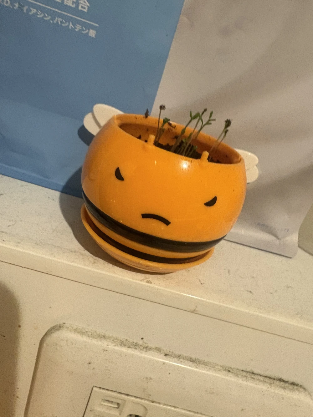 おはよう世界
