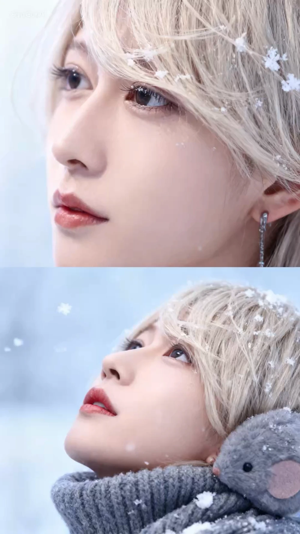 寒波だなぁ⛄❄