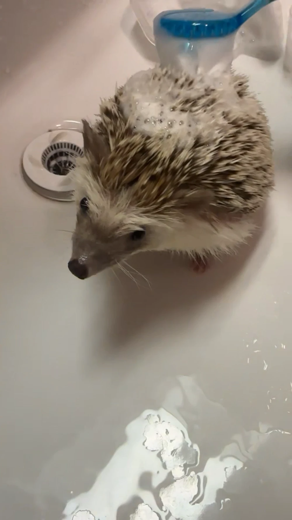 AWAKEのブログ写真_5枚目