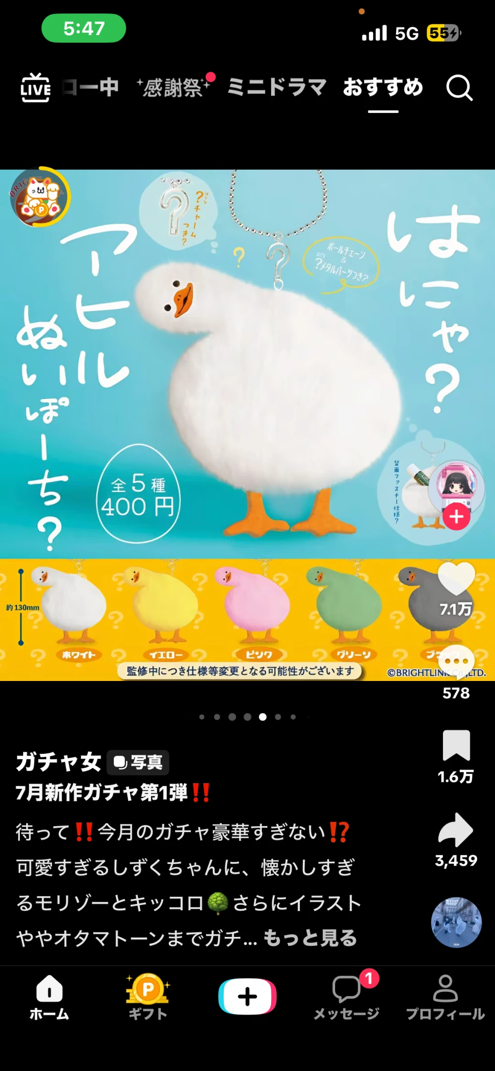 DIAMOND FIZZのブログ写真_7枚目