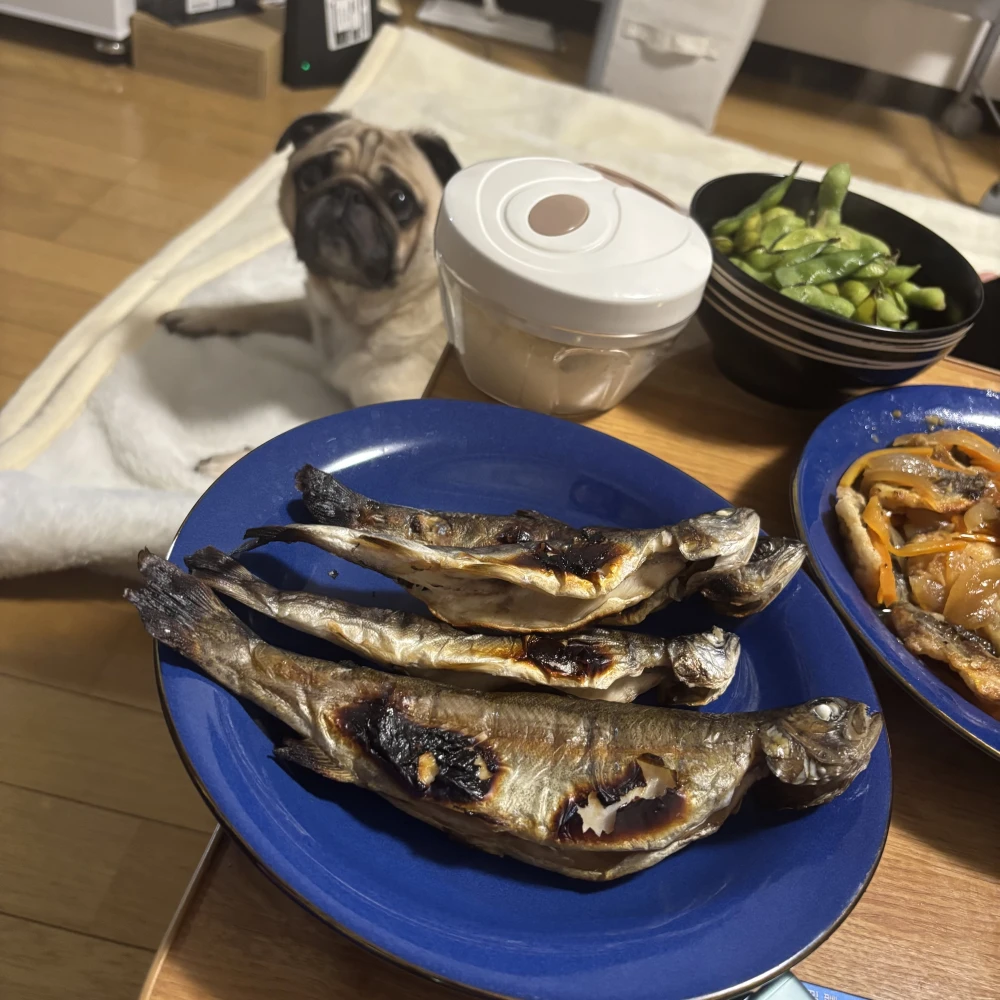 川魚パーティー🐶