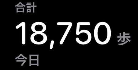 山登り無くなったから...