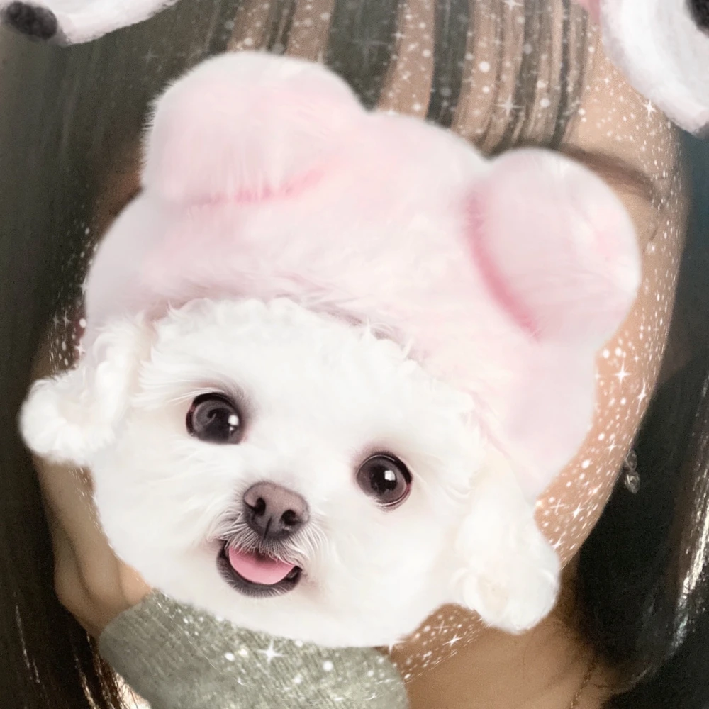 さや